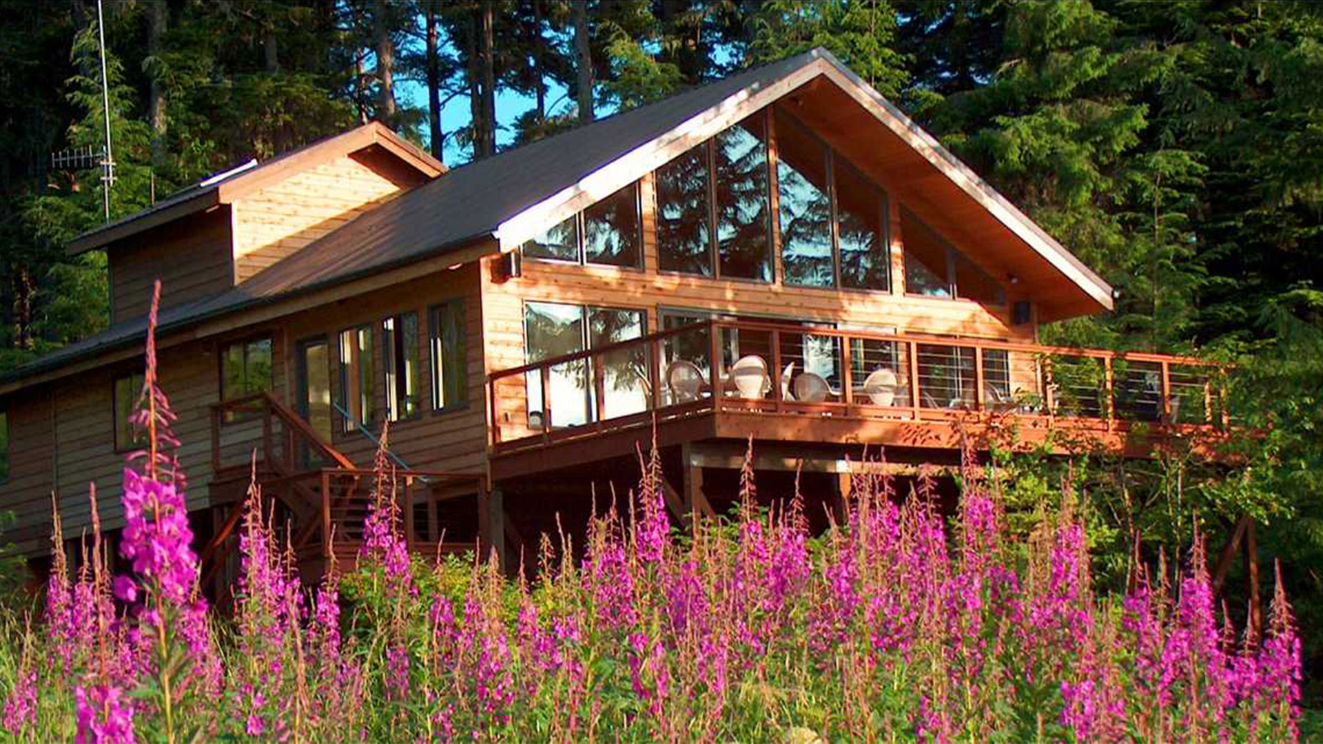 EXTRAORDINARY-Alaska Fireweed Frames the Main Lodge