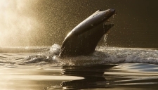 Alaska Boat Adventure