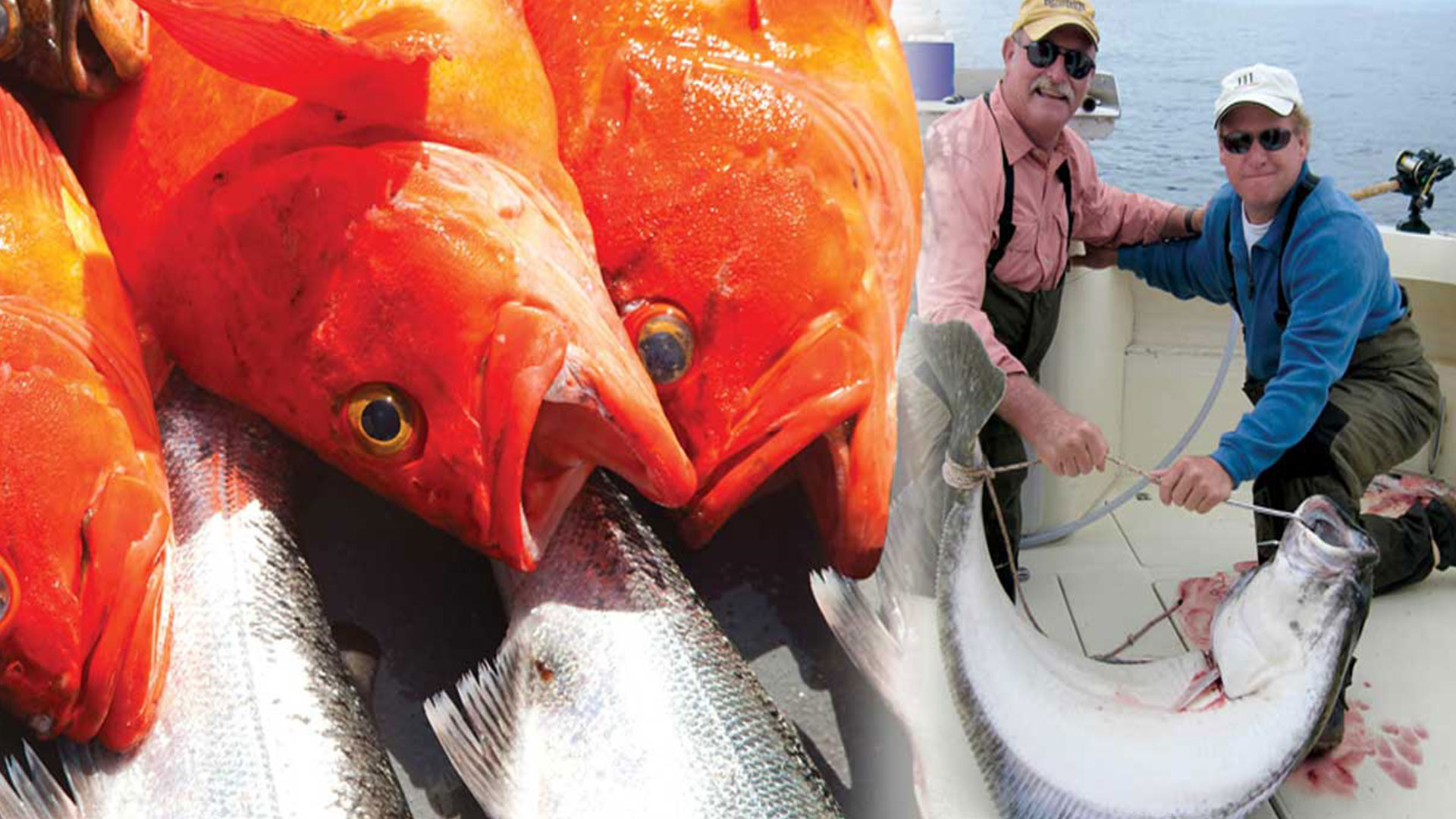 ALASKA SPORT FISHING-Salmon, Halibut, Ling Cod, Rockfish and More